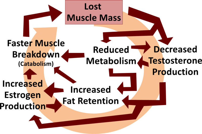 Destructive Cycles